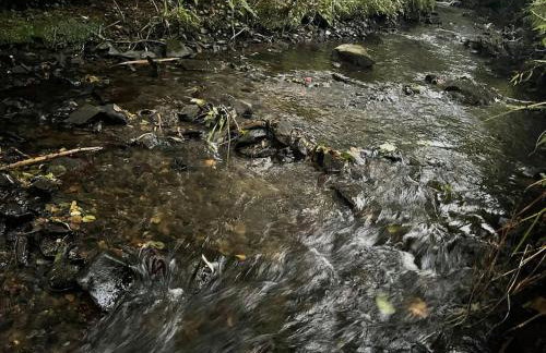 Crannog House - Foto 50