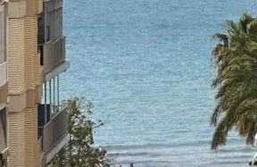 Acojedor piso en corason Santa Pola - Photo 2