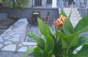 Bee Hive's Country House - Foto 24