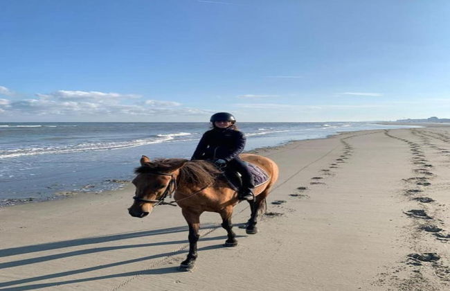 Holiday Home in Koksijde Near Sint-andre Beach - Foto 30