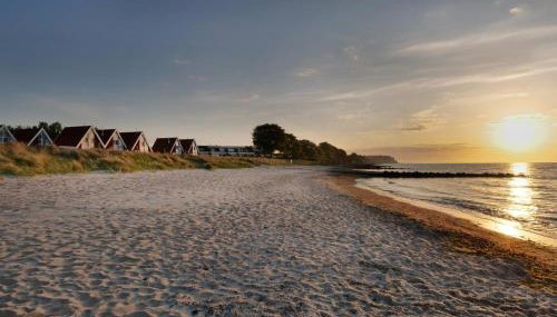 Coast - Foto 5