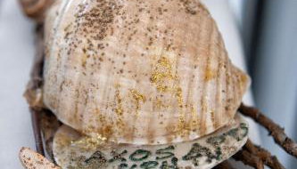 Axos Apartments - Foto 4