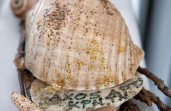 Axos Apartments - Photo 4