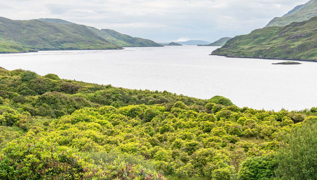 Tour en kayak por el fiordo de Killary