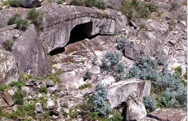 Canastro do Carvalho - Foto 18