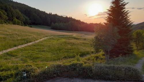 Schwarzwald Pur - Foto 5