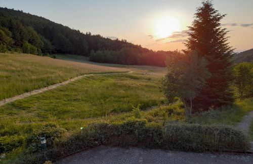 Schwarzwald Pur - Foto 5