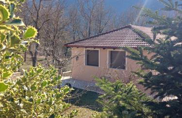 Ονειροπαγιδα - Photo 73