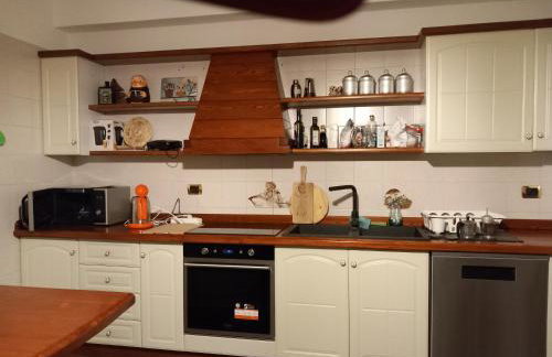 The Green Owl - Foto 39