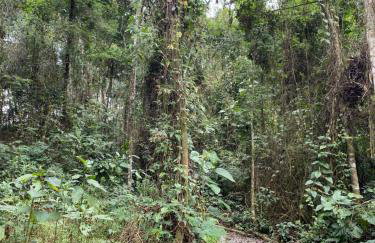 Sítio N#1 da Serra Perfeito para famílias com bebês e crianças Piscina aquecida e limpeza incluídos - Foto 47