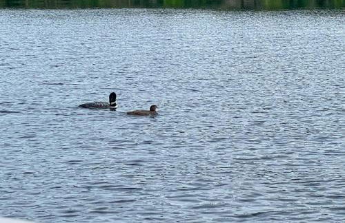 The Den Raymond Home with 200 Feet of Sandy Beach! - Foto 26