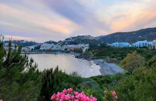 Casa Pozuelo - Photo 45