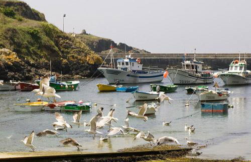 Apartamentos El Guindal - Foto 49