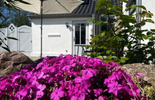 Ferienwohnung Sonnentraum - Foto 23