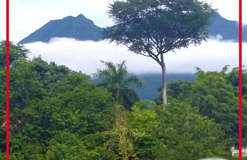 Pousada Chalé na Roça Penedo - Photo 26