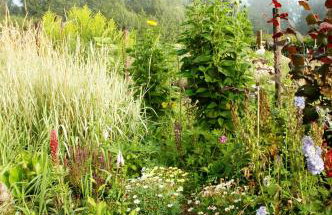 Chata na Zielonym Wzgórzu - Foto 73