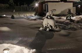 Brama Gór - Foto 62