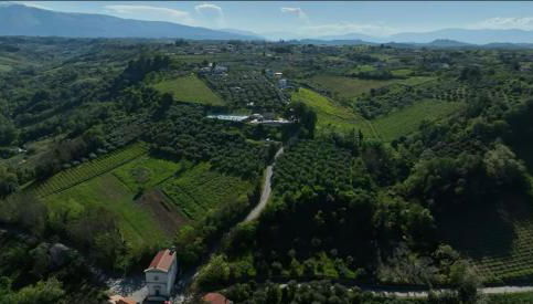 Za Teresa - Napoleonic Private Resort & Spa - Heated Pool on request - Foto 3