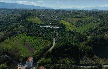 Za Teresa - Napoleonic Private Resort & Spa - Heated Pool on request - Foto 3