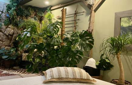 Tropical Lodge SPA Narbonne - Foto 8