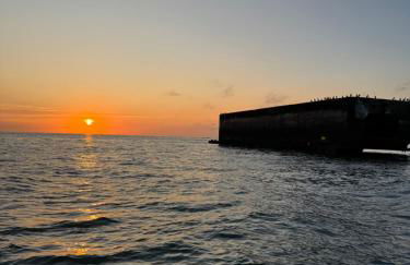 Lodges des Pontons - Cap Ouest - vue mer - Photo 24