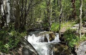 The Getaway,Hot Tub, AC, 2miles from RMNP - Foto 3