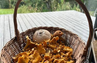 Powidoki Mazury - Foto 76