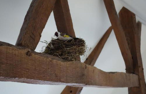 Le Nourhoët havre de Paix à l'Orée de Brocéliande - Foto 14