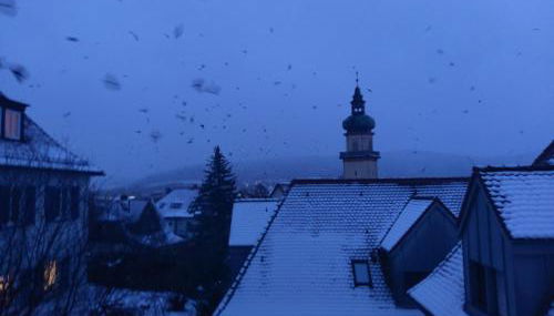 Aalens schönste Aussicht - Foto 3