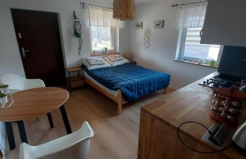 Malowane Domy - Foto 60