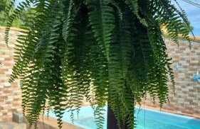 Linda casa em Unamar - Photo 2