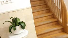 Ferienwohnung in der Villa Sana mit großem Garten - Foto 2