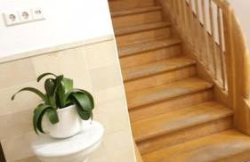 Ferienwohnung in der Villa Sana mit großem Garten - Foto 2