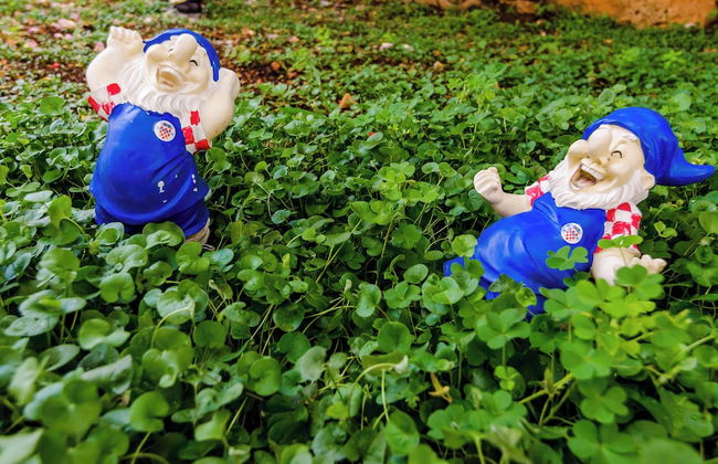 Miracle Apartments - Foto 58