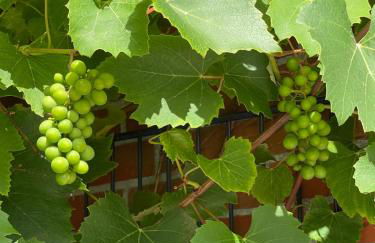 Ferienhaus FRIESENHERZ - Traum-Landhaus mit Sauna & Wallbox - Foto 46