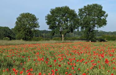 Le Coquelicot - Châlet avec SPA - Foto 27