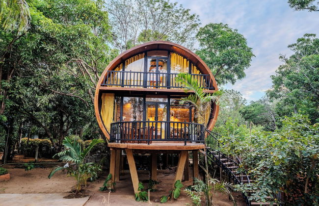 Woodland Sanctuary - Photo 31