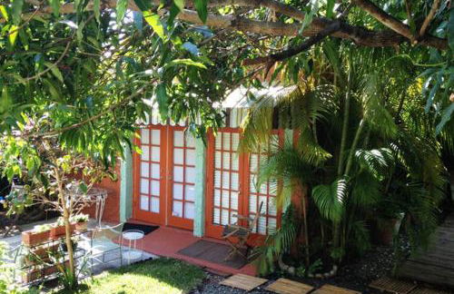 The Wild Rose - Foto 5