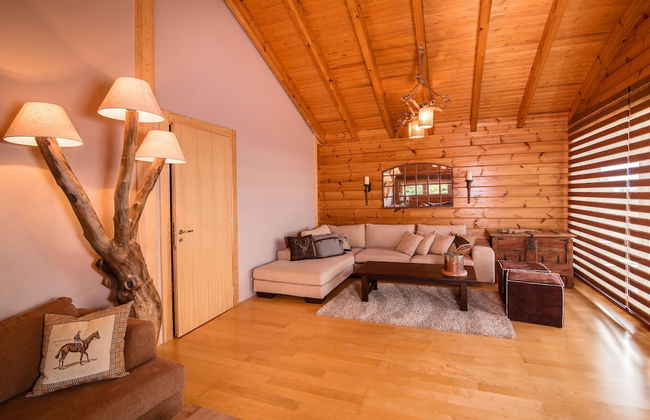 Aelia Hospitality Parnassos - Foto 18