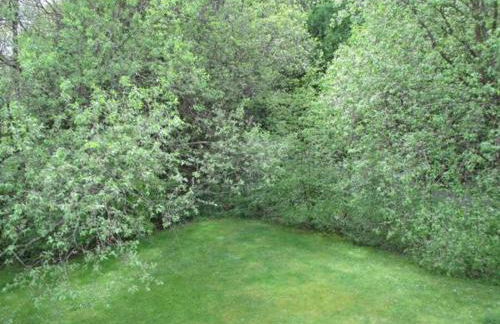 Ferienwohnung an der Lay Wohnung 2 - Foto 24