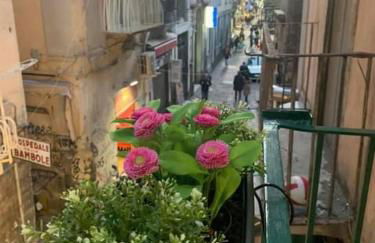 la casa di patta a spaccanapoli - Foto 45