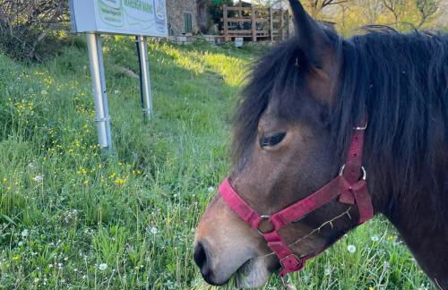 Segarati Relax La Maiolica - Photo 10
