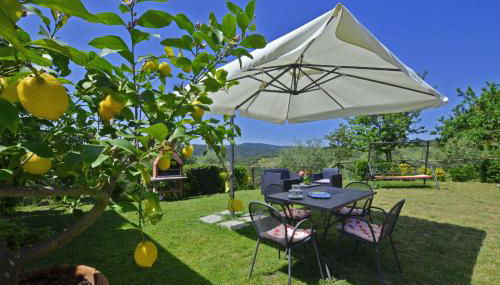 Da Maria - Happy Rentals - Foto 4, Garden
