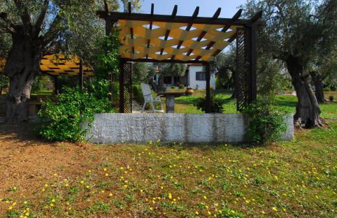 Saint Andrews Bay - Foto 19