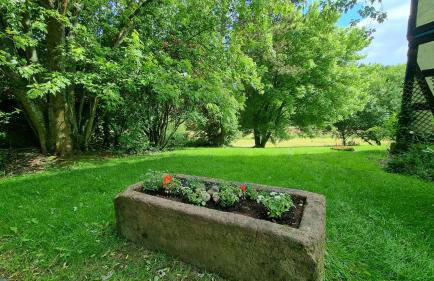 Wolfsmühle - Foto 45