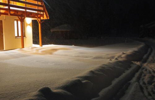 Domki Brzozówka w Bieszczadach - Foto 36
