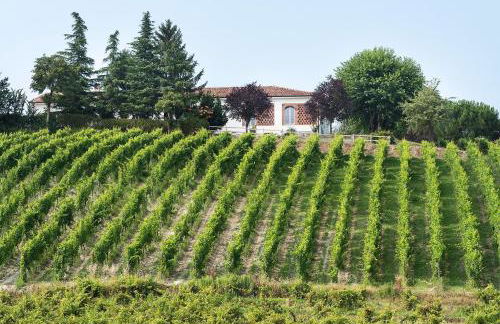 Agriturismo Albarossa - Foto 61