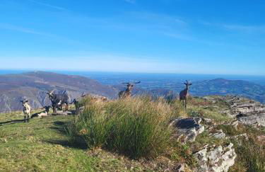 Appartement cosy au calme - Foto 15