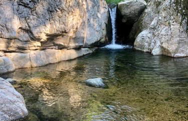 Garden Residence - Foto 37