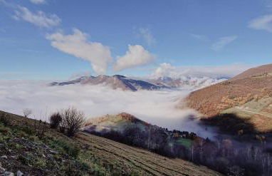 Narciso Home - Foto 27